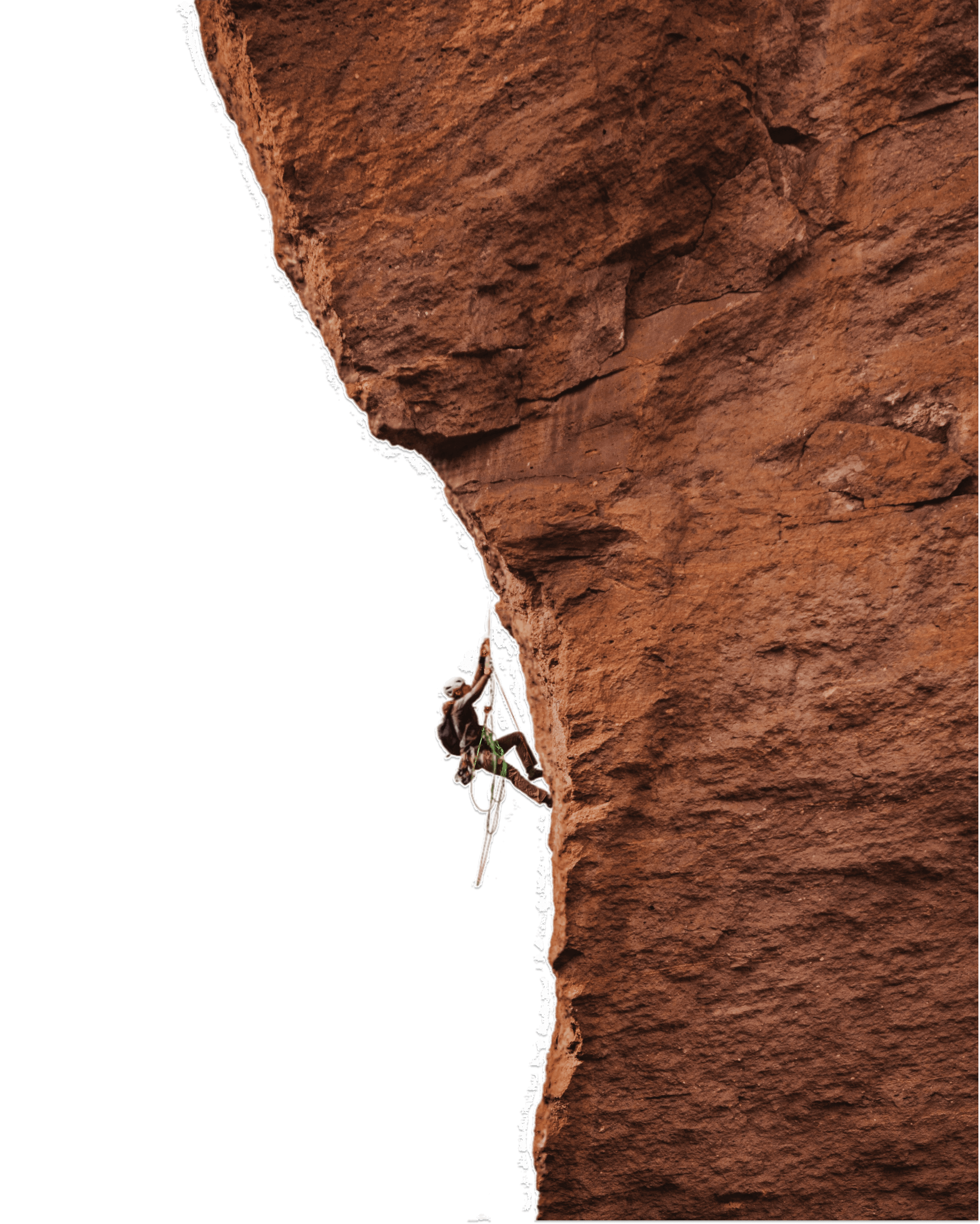 Parallax Image